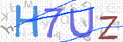CAPTCHA 驗證圖片
